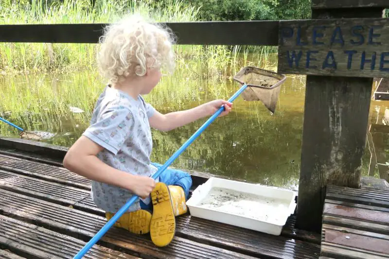 pond dipping grangemouth family days out in Scotland