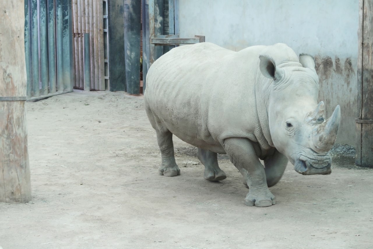 Blairdrummond safari park