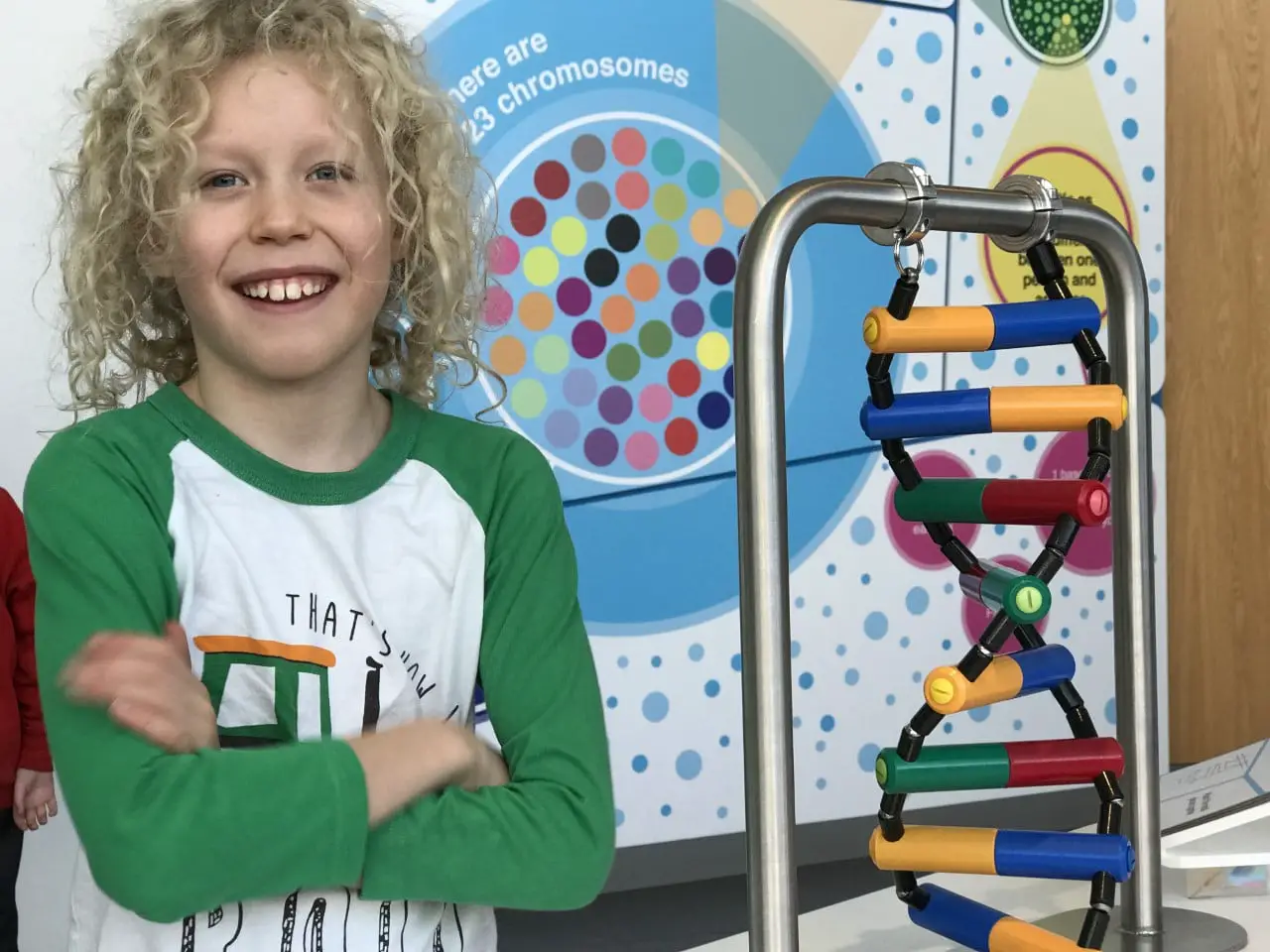 child standing beside DNA model