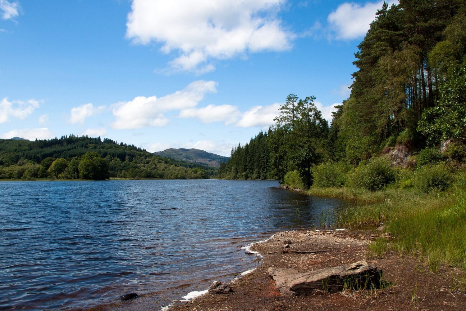 wild swimming stirling - Monkey and Mouse